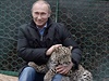 Jedin v rukách Putina se leopard cítí v bezpeí.