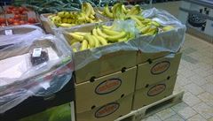 Banánový kokain z Lidlu by na českém trhu vydržel půl roku