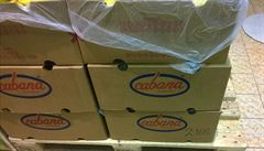 Banány z Kolumbie v prodejn� Lidl na pra�ské Zbraslavi. V podobných krabicích...