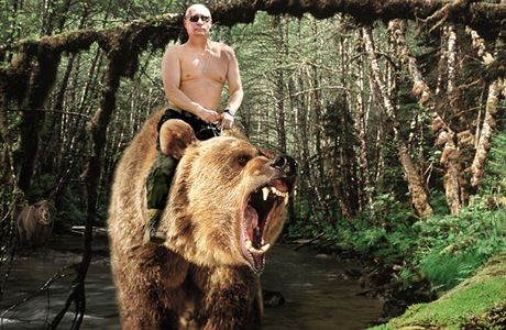 Prezident a medvd, aneb jak upláchnout diktátorovi. Ruský prezident Vladimír...