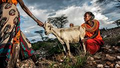 Snímky z Afriky se objevily v knize Afrika v nás, kterou Lenka Klicperová vydala