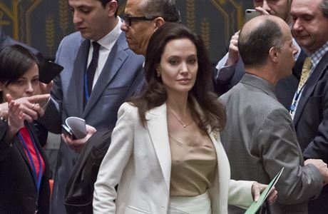 Angelina Jolie ped Radou bezpenosti OSN v New Yorku.