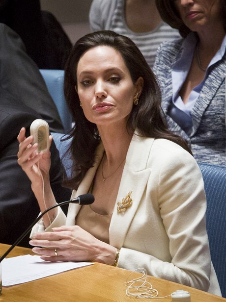 Jolie vyzvala všech 15 členů Rady bezpečnosti OSN, aby tak jako ona syrské...