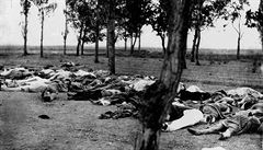 Němci rozhodli: Masakry Arménů byly genocida. Turecko odvolalo velvyslance