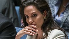 Jen pihlííme, kritizovala Jolie nerozhodnost a  roztpenost svtového...