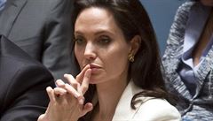 Angelina Jolie popela, e v Kambodi navdla dtsk herce ke krdei penz