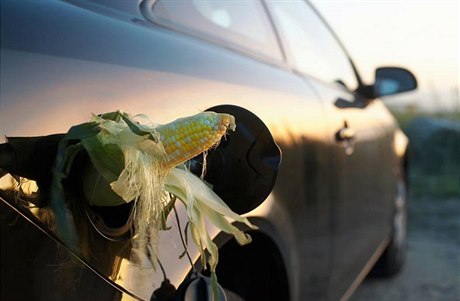 Biopaliva - ilustraní foto