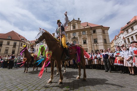 Jízda král Navalis