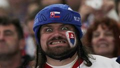 Z nkterých slovenských fanouk jde vtí strach ne z jejich milák na led.