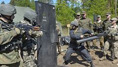 Spolené vojenské cviení amerických a ukrajinských voják v západoukrajinském...