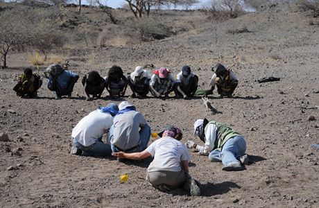 Paleontologov nali v oblasti Afar na severu Etiopie spodn elist, dse a...