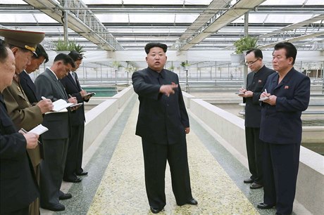 Je nepochopitelné, e farma, kterou (kdysi) navtívil Kim ong-il, nevytvoila...