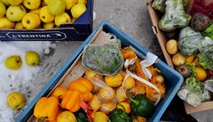 Foodsharing je platforma, kde si lidé vym��ují jídlo. Kdy� máte doma n�co, co...