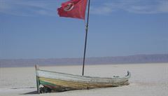 Lo�ka na b�ehu solného jezera Chott el Djerid.