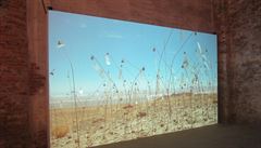Videoart  Christiana Boltanského.