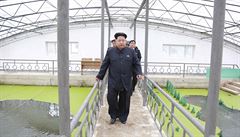 Severokorejský vládce vyetl elví farm Tätongkang, e nevnuje ádoucí...