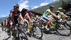 Cyklistický peloton bhem poslední horské etapy letoního Gira.
