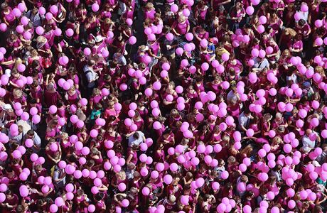 Tisíce lidí podpoily boj s rakovinou prsu u v roce 2013.