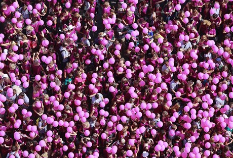 Tisíce lidí podpoily boj s rakovinou prsu u v roce 2013.