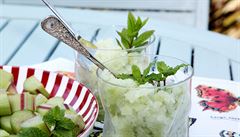Vynikající sorbet