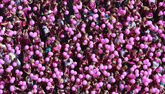 Prahou prošel růžový pochod proti rakovině prsu