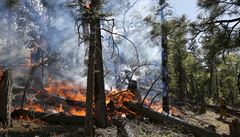 Do boj s lesními poáry bylo nasazeno na 1200 hasi.