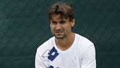 MARN SNAHA David Ferrer se na Wimbledon piln pipravoval, nakonec ho ale do...