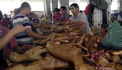 Trh psího masa v jihočínském městě Jü-lin.