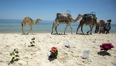 Tuniské pobřeží, blízko něhož došlo k teroristickým útokům.