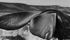 Sebasti&#227;o Salgado: South Sandwich Islands. 2009.