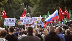 Slovensko po sobotnch nsilnostech uvauje o zpsnn podmnek demonstrac