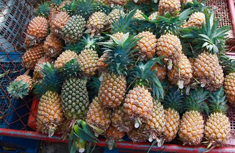 erstv ananas je nezbytnm doplnnm ervenho kari