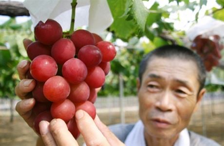 Hrozen vína se v Japonsku vydrail za rekordní dv st tisíc korun