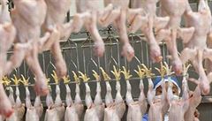 Ve švédském Heby chtějí zakázat halál maso. Jeho konzumace dělá z lidí muslimy, tvrdí