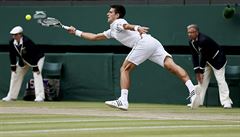 Novak Djokovi ve finále Wimbledonu.
