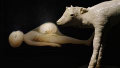 Daniel Pe�ta: Zv�stování