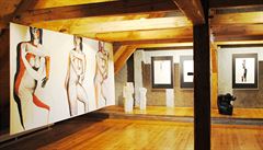 Litvínovská galerie láká nejen kvalitními expozicemi, ale také zajímavým...