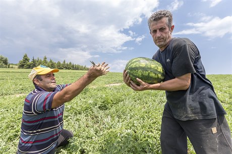 Řečtí zemědělci.