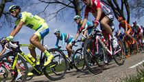 Cyklista Roman Kreuziger na trati zvodu Amstel Gold Race.