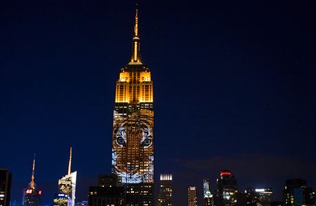 Empire State Building a projekce tygra.