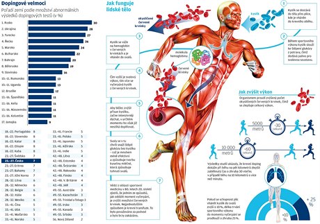 TÉMA DOPING: Jak funguje lidské tlo?