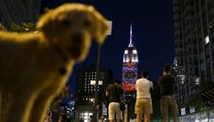 Na Empire State Building se promítaly obrazy ohroených zvíecích druh.