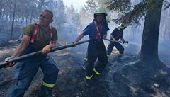 U Dobříva na Rokycansku začal 7. srpna po poledni hořet les. Na místě je... | na serveru Lidovky.cz | aktuální zprávy
