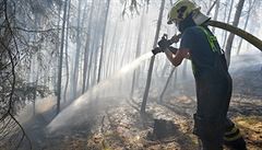 Sto padest hasi bojovalo s porem lesa v nepstupnm ternu u Javornku