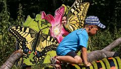 Ostravská zoo otevřela novou expozici Motýlí louka