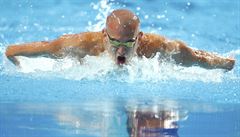 Momentka z plaveckého mistrovství svta v Kazani: Maar Cseh pi motýlku.