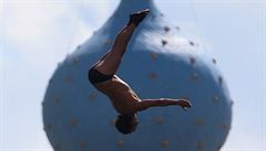 Momentka z plaveckého mistrovství svta v Kazani: francouzský skokan do vody...