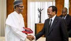 Nigérie v boji se sektou Boko Haram spolupracuje s se sousedními státy, jejich...