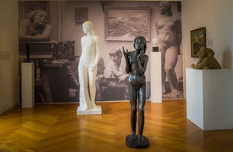 Pohled do expozice v galerii Klatovy / Klenová.