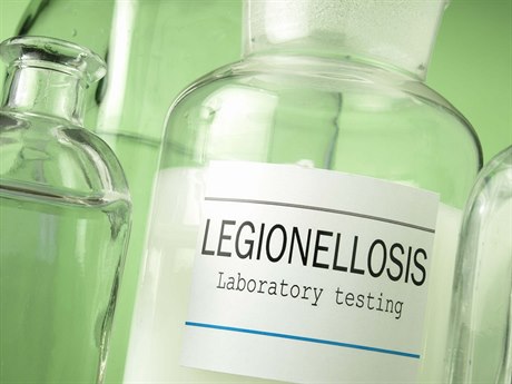 Legionáská nemoc (ilustraní snímek).